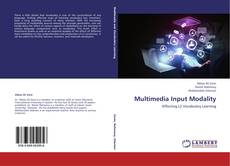 Buchcover von Multimedia Input Modality