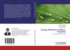 Capa do livro de Energy Efficiency of Micro-Irrigation 