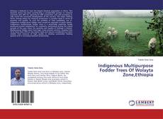 Indigenous Multipurpose Fodder Trees Of Wolayta Zone,Ethiopia的封面