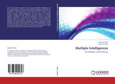 Buchcover von Multiple Intelligences