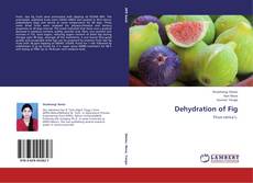Обложка Dehydration of Fig