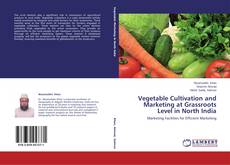 Copertina di Vegetable Cultivation and Marketing at Grassroots Level in North India