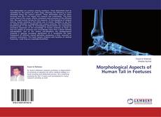Bookcover of Morphological Aspects of Human Tali in Foetuses