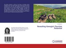 Buchcover von Revealing Georgia's Tourism Potential