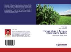Обложка Forage Maize + Cowpea Intercropping System