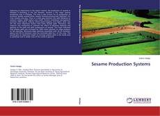 Couverture de Sesame Production Systems