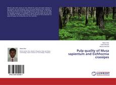 Bookcover of Pulp quality of Musa sapientum and Eichhornia crassipes
