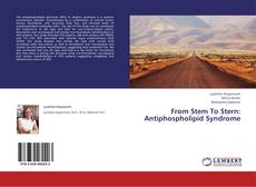 Buchcover von From Stem To Stern: Antiphospholipid Syndrome