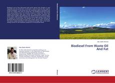 Buchcover von Biodiesel From Waste Oil And Fat