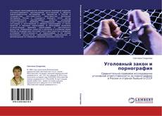 Copertina di Уголовный закон и порнография