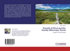 Copertina di Growth of Pinus pumila, locality Oblacnaya, Russia