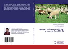 Couverture de Migratory sheep production system in Tamil Nadu