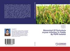 Buchcover von Biocontrol Of Pyricularia oryzae Infection In Paddy By PGPR Isolates