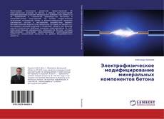 Электрофизическое модифицирование минеральных компонентов бетона的封面