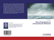 Wave Propagation in Semiconductor Materials的封面