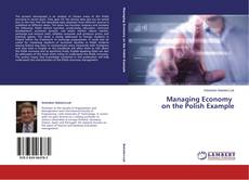 Copertina di Managing Economy on the Polish Example