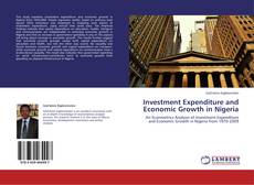 Couverture de Investment Expenditure and Economic Growth in Nigeria