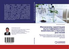 Buchcover von Механизмы адаптации мультиферментных комплексов у высших растений