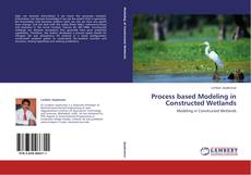 Copertina di Process based Modeling in Constructed Wetlands