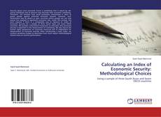 Couverture de Calculating an Index of Economic Security: Methodological Choices