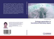 Copertina di Entropy generation in transitional boundary layers