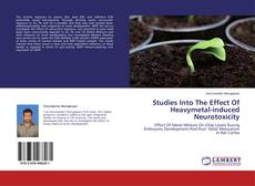 Copertina di Studies Into The Effect Of Heavymetal-induced Neurotoxicity