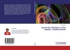 Buchcover von Search for Identity in John Updike`s Rabbit Novels