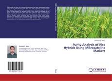 Copertina di Purity Analysis of Rice Hybrids Using Microsatellite Markers