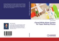 Copertina di Closed White Water System for Paper Making Process