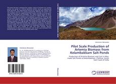 Portada del libro de Pilot Scale Production of Artemia Biomass from Kelambakkam Salt Ponds