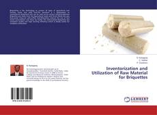 Capa do livro de Inventorization and Utilization of Raw Material for Briquettes 