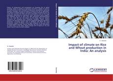Copertina di Impact of climate on Rice and Wheat production in India: An analysis