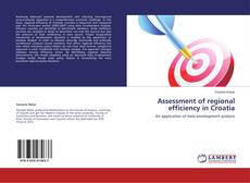 Couverture de Assessment of regional efficiency in Croatia