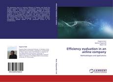 Copertina di Efficiency evaluation in an airline company