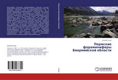 Copertina di Пермские фораминиферы               Биармийской области