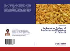 Bookcover of An Economic Analysis of Production and Marketing of Turmeric