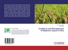 Bookcover of Incidence and Management of Bipolaris oryzae in Rice
