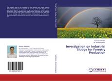 Copertina di Investigation on Industrial Sludge for Forestry Production