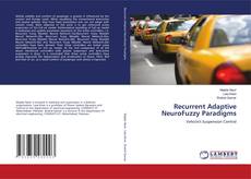Capa do livro de Recurrent Adaptive NeuroFuzzy Paradigms 