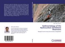Copertina di Sedimentology of the Hydrocarbon Sandstone Reservoirs