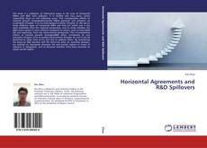 Copertina di Horizontal Agreements and R&D Spillovers