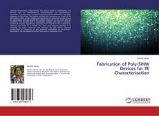 Обложка Fabrication of Poly-SiNW Devices for TE Characterization