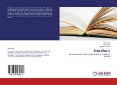 Buchcover von Brucellosis