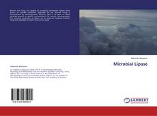 Buchcover von Microbial Lipase