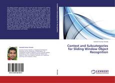 Capa do livro de Context and Subcategories for Sliding Window Object Recognition 