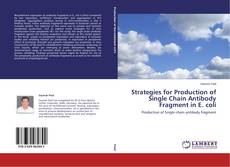 Buchcover von Strategies for Production of Single Chain Antibody Fragment in E. coli