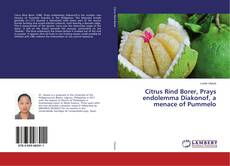 Copertina di Citrus Rind Borer, Prays endolemma Diakonof, a menace of Pummelo