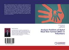 Buchcover von Analysis Problem of Baitul Maal Wat Tamwil (BMT) in Pekanbaru