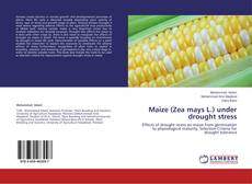 Copertina di Maize (Zea mays L.) under drought stress