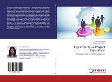 Copertina di Key criteria in Project Evaluation